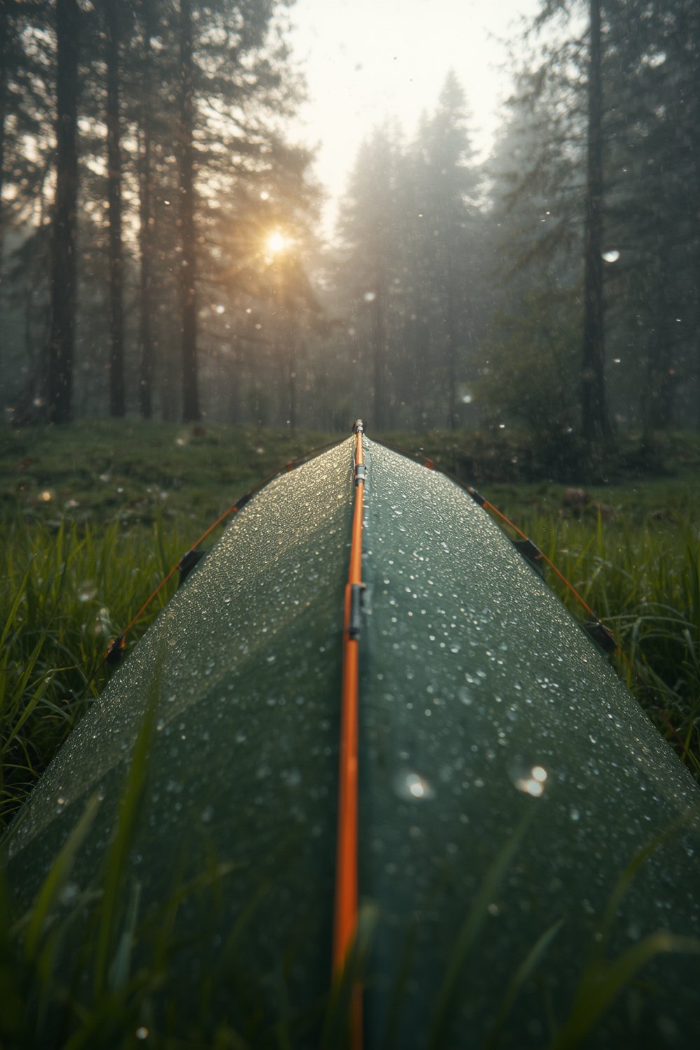 pop tent Night Cat 1 person instant camping waterproof