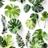 jungle party decorations