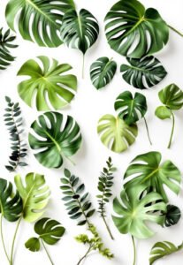108 pack palm leaves: what to know before buying