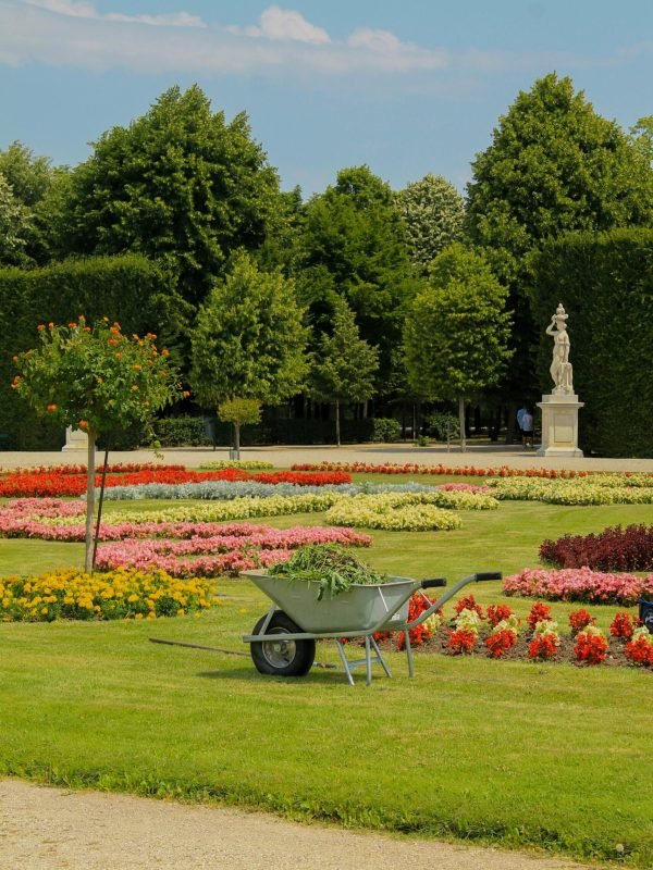 pexels-patrizio-scialabba-422938745-15148744 pexels-patrizio-scialabba-422938745-15148744